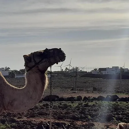 בית נופש Casa Vale