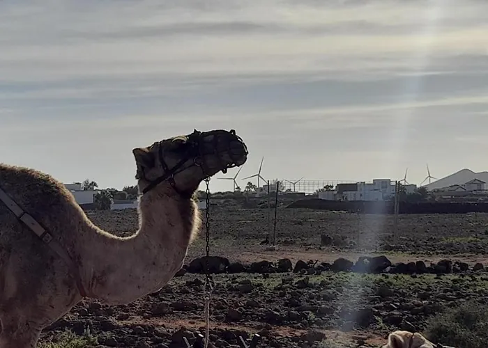 Holiday home Casa Vale